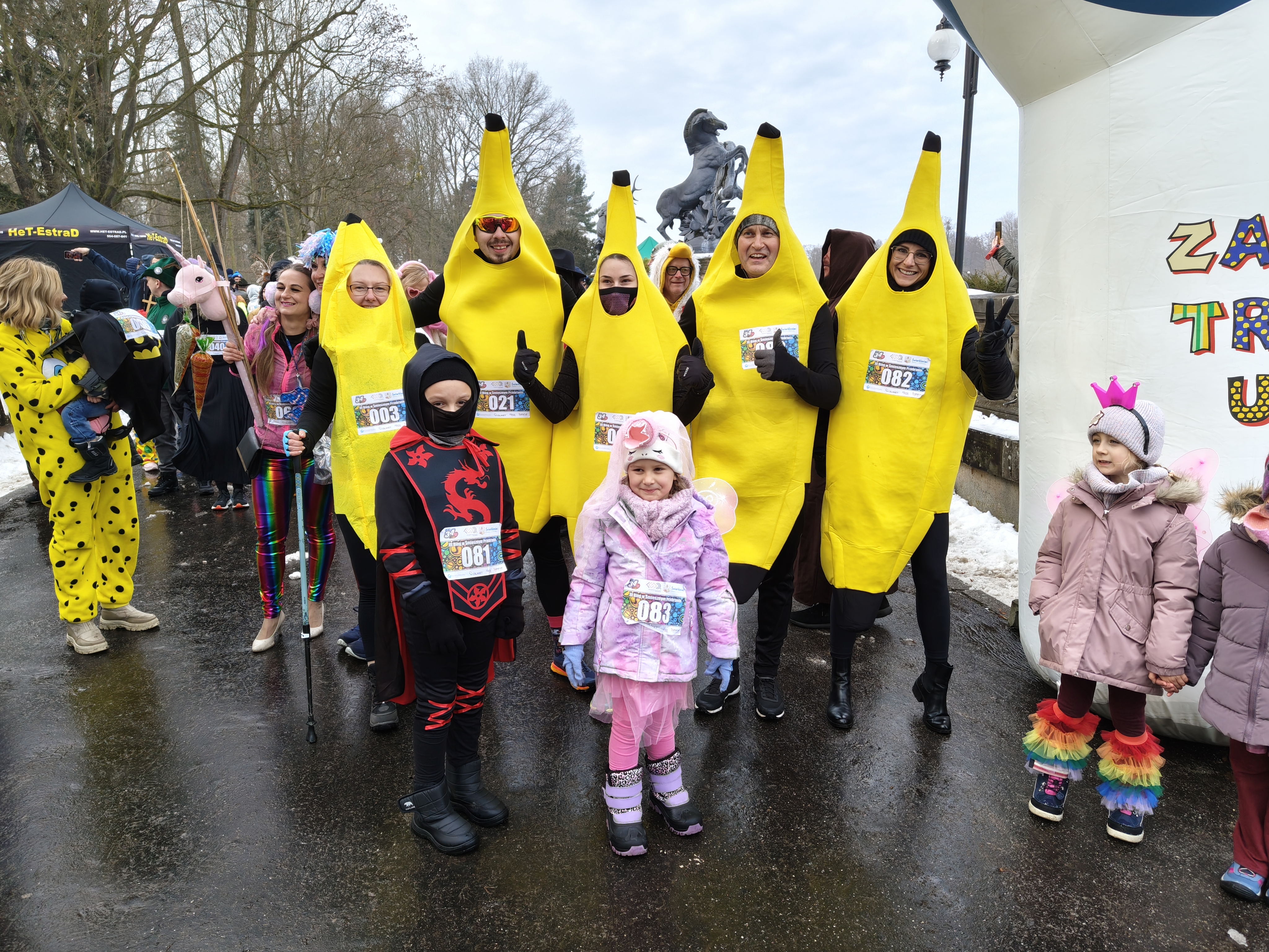 Kiść banan&oacute;w