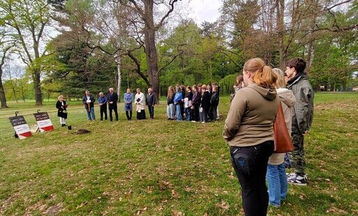 W zabytkowym parku posadzono symboliczny "Dąb Pokoju" Tragedii Górnośląskiej